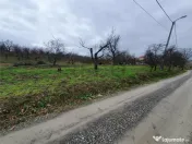 RECO Teren in Oradea 