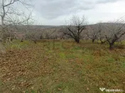 RECO Teren in Oradea 