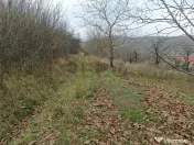 RECO Teren in Oradea 
