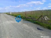 TEREN CASLITA CU PROIECT DE CASA LA SOL 