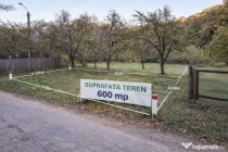 Teren 600mp intravilan - Balotesti