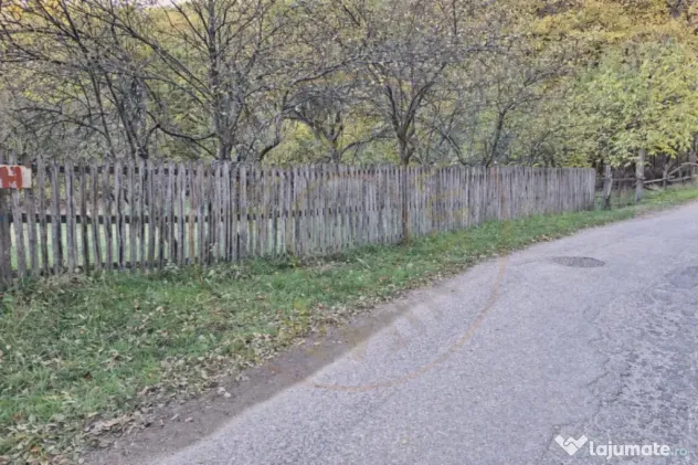 Teren 600mp intravilan - Balotesti