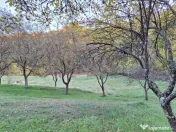 Teren 600mp intravilan - Balotesti 