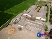 ID 7905 Oportunitate investiție agro-industrială - EXCLUSIVITATE 