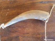 Corn ornament,  model deosebit