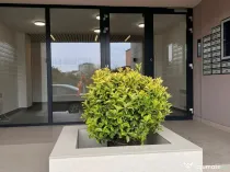 Brancoveanu oraselul copiilor open space