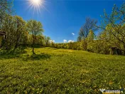 Domeniu de 3.400 mp cu traditionala casa, Suveica, Acatari M 