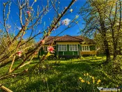Domeniu de 3.400 mp cu traditionala casa, Suveica, Acatari M 