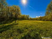 Domeniu de 3.400 mp cu traditionala casa, Suveica, Acatari M 