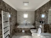 Casă deosebită grandioasă 