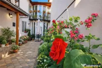 Pe incantare florala, casa cu 5 camere, curte individuala -