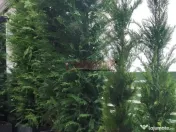 Penthouse 3 camere Terasa Spectaculoasa 