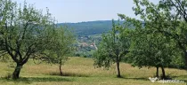 Teren 1000 mp Valea Ghinzii