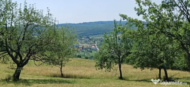 Teren 1000 mp Valea Ghinzii