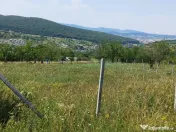 Teren 1000 mp Valea Ghinzii 