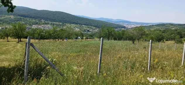 Teren 1000 mp Valea Ghinzii