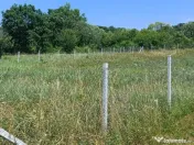 Teren 1000 mp Valea Ghinzii 