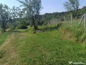 Teren 1000 mp Valea Ghinzii 