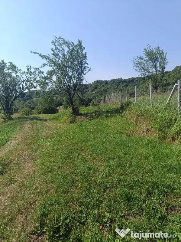 Teren 1000 mp Valea Ghinzii