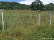 Teren 1000 mp Valea Ghinzii 