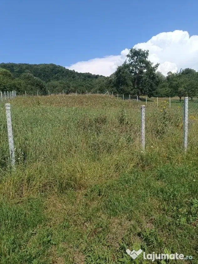 Teren 1000 mp Valea Ghinzii