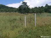 Teren 1000 mp Valea Ghinzii 