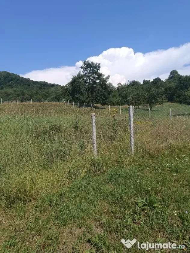 Teren 1000 mp Valea Ghinzii