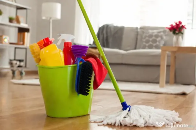 Oferim servicii de curățenie la domiciliul clientului preturile sunt negociabile