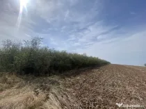 Livada 5400 mp si pasune 8700 mp
