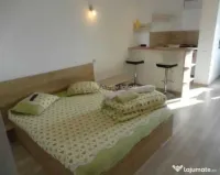 Garsoniera- Centrul Civic -Victoriei 