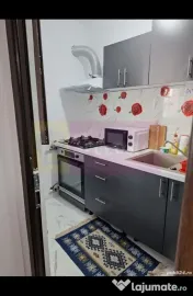 Garsoniera Drumul Taberei la parc Moghiorasi 