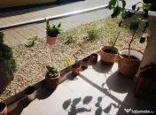 Dumbravita / Parter cu Balcon 