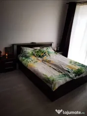 Dumbravita / Parter cu Balcon 