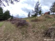 Teren intravilan in Izvoru Muresului (str. Principala) 