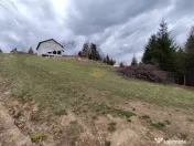 Teren intravilan in Izvoru Muresului (str. Principala) 