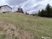 Teren intravilan in Izvoru Muresului (str. Principala) 