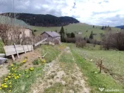 Teren intravilan in Izvoru Muresului (str. Principala) 