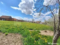 Teren de 1451 mp cu utilitati - Haghig, jud. Covasna