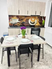 Apartament 2 camere de închiriat – ANL Brâncuși | Parter | Complet mobilat 