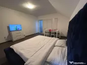 Apartament cu doua camere de vanzare in Busteni 