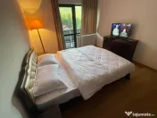 Apartament cu doua camere de vanzare in Busteni 