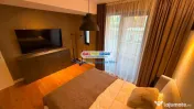 Apartament 2 camere, lux, Aviatiei - Baneasa - Herastrau 