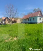Casă autentică 3.100 mp teren, livadă si parau I Lisnau 