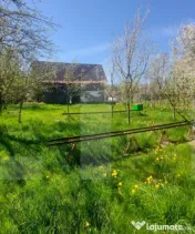 Casă autentică 3.100 mp teren, livadă si parau I Lisnau 
