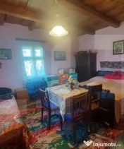 Casă autentică 3.100 mp teren, livadă si parau I Lisnau 