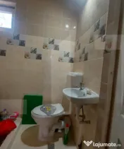 Casă autentică 3.100 mp teren, livadă si parau I Lisnau 