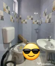 Casă autentică 3.100 mp teren, livadă si parau I Lisnau 