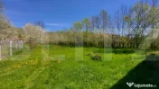 Casă autentică 3.100 mp teren, livadă si parau I Lisnau 