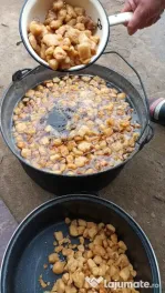 Vând bio,crescuți bio