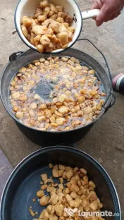 Vând bio,crescuți bio 